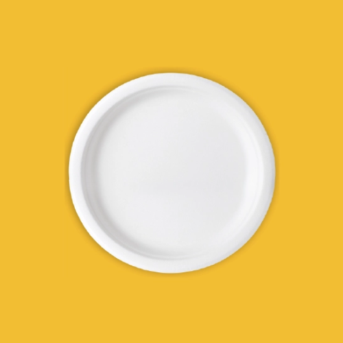 12 " Inch Sugercane Bagasse Plate ( Pack Of 50 Pcs )
