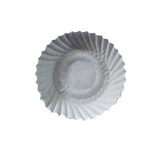 Disposable Delux Paper Plate ( Pack Of 30 Pcs )