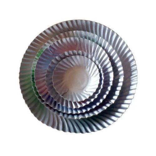 Disposable Fruity Plates With Silver Coat ( Pack Of 25 Pcs )